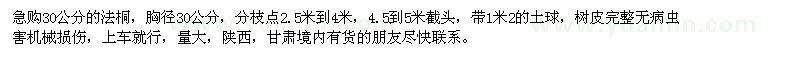求購30公分的法桐
