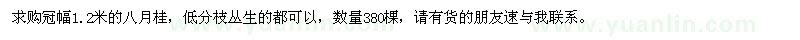 求購八月桂