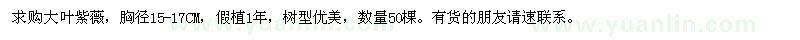 求購(gòu)大葉紫薇50棵