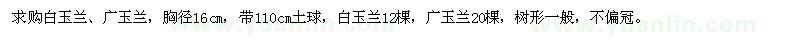 求購白玉蘭,廣玉蘭