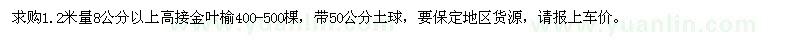 求購8公分以上高接金葉榆