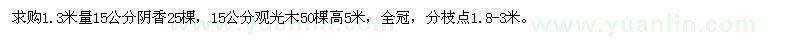 求購1.3米量15公分陰香、觀光木