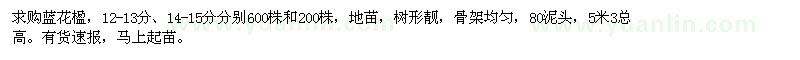 求購藍花楹