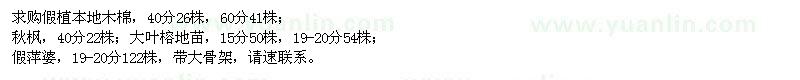 求購假植本地木棉,秋楓,大葉榕,假萍婆