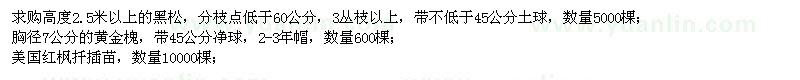 求購(gòu)黑松,黃金槐,美國(guó)紅楓扦插苗