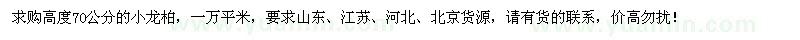 求購(gòu)高70公分小龍柏