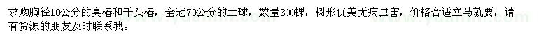 求購胸徑10公分的臭椿和千頭椿