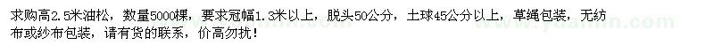 求購高2.5米油松5000棵