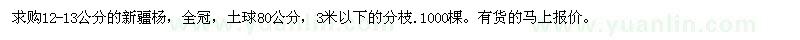 求購12-13公分的新疆楊