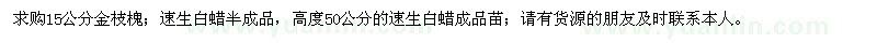 求購15公分金枝槐、速生白蠟