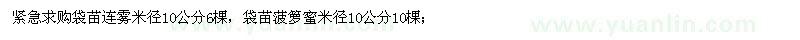 求購袋苗連霧，袋苗菠籮蜜米徑10公分