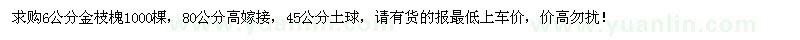 求購6公分金枝槐1000棵