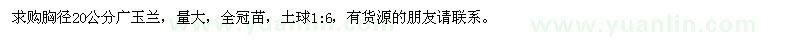 求購胸徑20公分廣玉蘭
