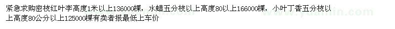 求購密枝紅葉李，水蠟小葉丁香