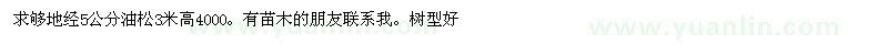求購地經(jīng)5公分3米高，油松，