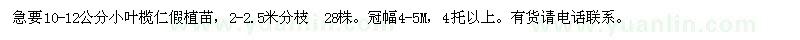 求購10-12公分小葉欖仁