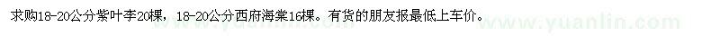 求購18-20公分紫葉李,18-20公分西府海棠