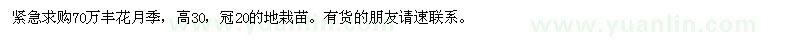 求購70萬豐花月季