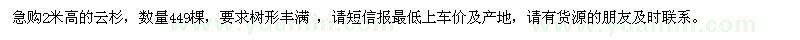 求購2米高的云杉