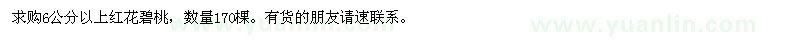求購6公分以上紅花碧桃