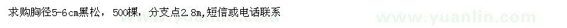 求購胸徑5-6cm黑松