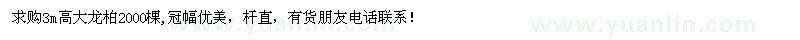 求購3m高大龍柏