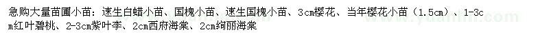 求購速生白蠟,國槐,櫻花,紅葉碧桃,紫葉李,西府海棠