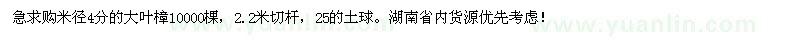 求購米徑4分的大葉樟