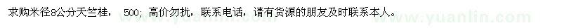求購(gòu)米徑8公分天竺桂  500