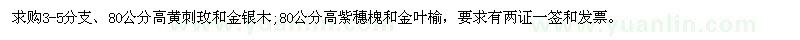 求購3-5分支、80公分高黃刺玫