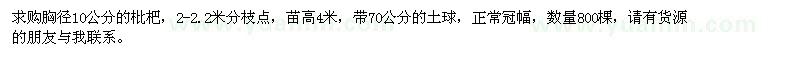求購胸徑10公分枇杷800棵