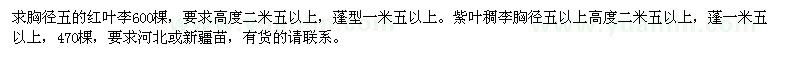 求購徑五的紅葉李600棵