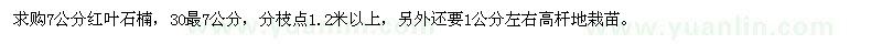 求購7公分紅葉石楠