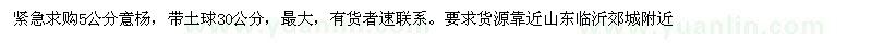 求購5公分意楊