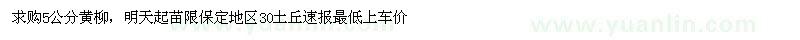 求購求購5公分黃柳，明天起苗