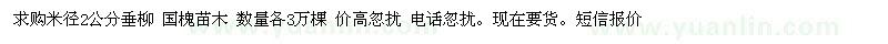 求購米徑2公分垂柳 國槐苗木