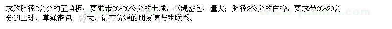 求購五角楓,白樺