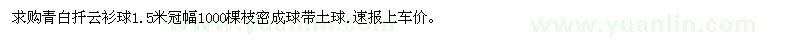 求購青白扦云杉球1.5米冠幅