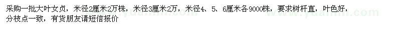 求購2-6公分大葉女貞