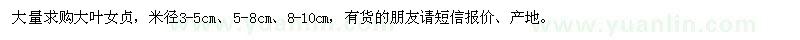 求購大葉女貞