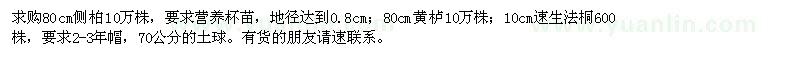求購(gòu)80cm側(cè)柏,80cm黃櫨,10cm速生法桐