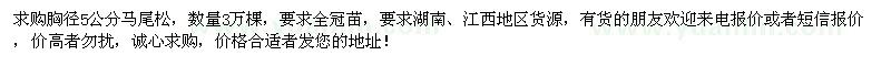 求購胸徑5公分馬尾松3萬棵