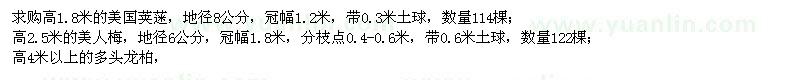求購(gòu)高1.8米的美國(guó)莢蒾、高2.5米的美人梅