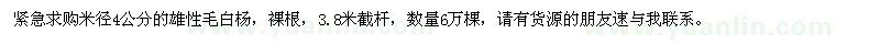 求購米徑4公分的雄性毛白楊