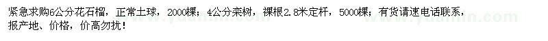 求購6公分花石榴、4公分欒樹