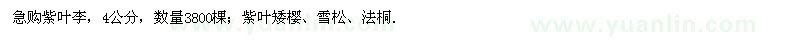 求購(gòu)紫葉李、紫葉矮櫻、雪松、法桐