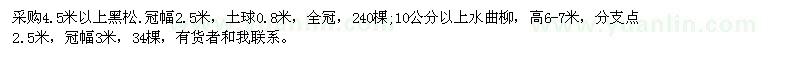 求購4.5米以上黑松