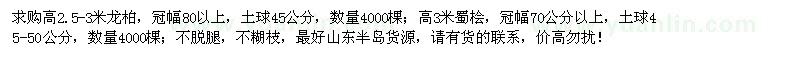 求購高2.5-3米龍柏、高3米蜀檜