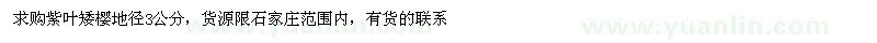 求購紫葉矮櫻地徑3公分