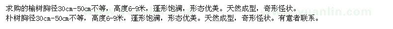求購榆樹,樸樹